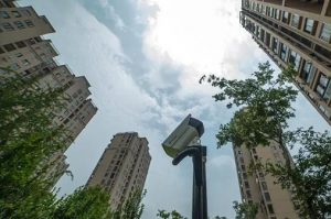 江西赣州女子被高空抛物砸中不治身亡，抛物者将承担什么罪责？