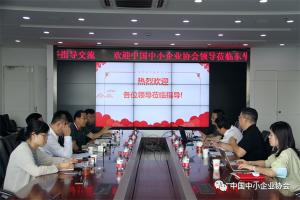 李子彬会长带队赴东华软件股份有限公司调研座谈