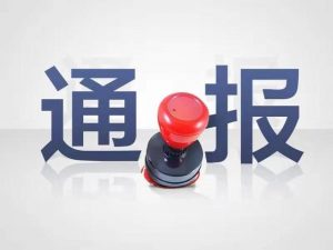 张家界18名公职人员因疫情防控不力被追责问责