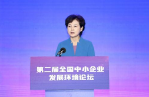 朱玉专职副会长应邀参加第二届全国中小企业发展环境论坛